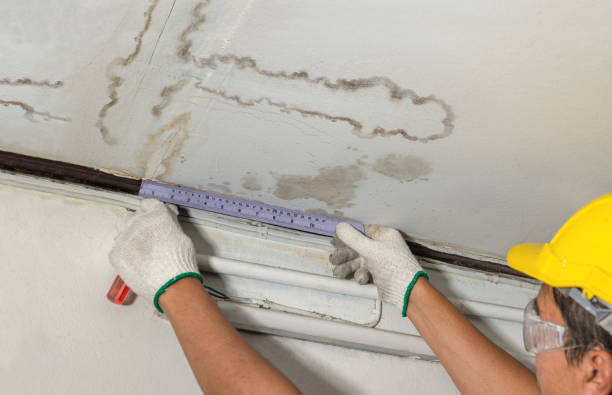 Reliable Mold Remediation contractor in Lewiston, UT by Water Damage Irwin